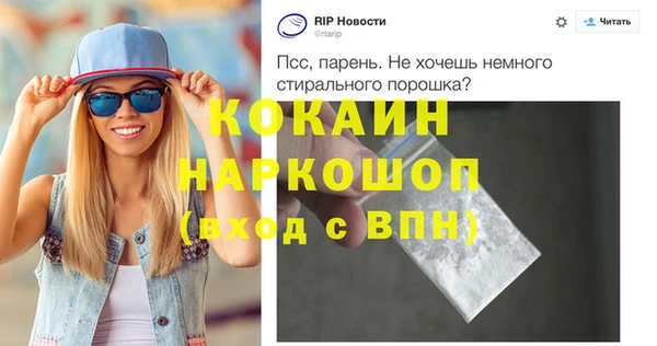 крисы Алексин