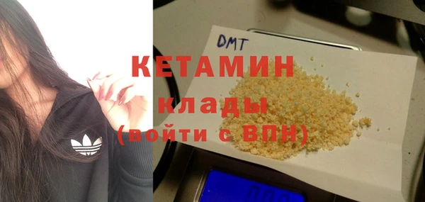 крисы Алексин