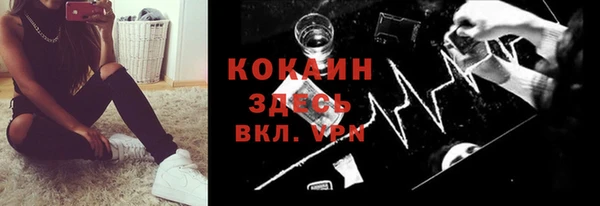 прущий лед Алзамай