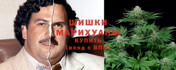 прущий лед Алзамай